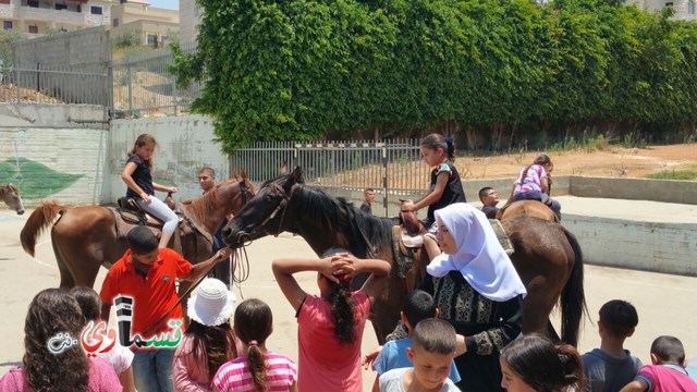 كفرقاسم - فيديو  : تعليم هواية ركوب الخيل في مدرسة جنة ابن رشد في اليوم الرابع لصيف الصادقة 